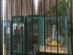 -三好坞景观餐厅