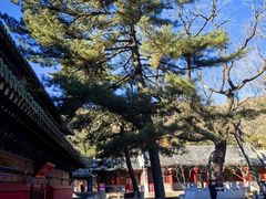 -潭柘寺景区