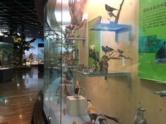 -陕西自然博物馆