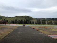 -五营红松林海景区