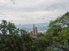 -太平山顶