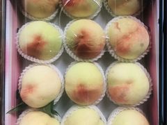 -南汇新场正宗水蜜桃采摘