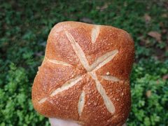 -风车面包