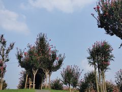 -南通洲际绿博园