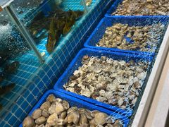 -韩胜·料理级自助烤肉海鲜火锅(财富港店)