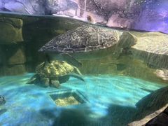 -多彩贵州城极地海洋世界