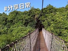 -亚龙湾国际玫瑰谷