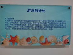 -上海大学生体育中心游泳馆(松江店)
