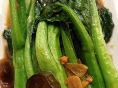 -锦粤宫·精致粤菜(深圳北站店)