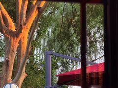-杭州西子湖四季酒店-WL BISTRO西湖餐厅(灵隐路店)