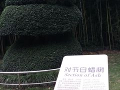 -苏州河梦清园环保主题公园