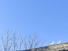 -白鹿原影视城