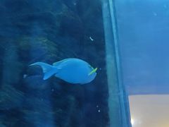 -乐从天佑城海洋馆