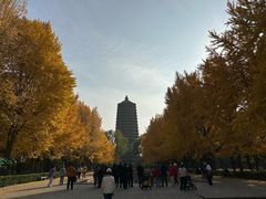 -玲珑塔公园