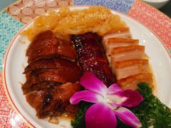 -北园酒家(小北路店)