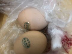 -阊门姚记豆浆(旧学前直营店)