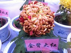 -迎泽公园