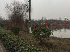 -白鹭湾湿地公园