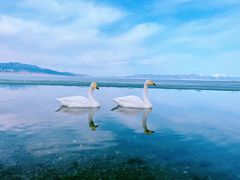 -赛里木湖风景名胜区