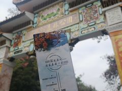 -广州市石门国家森林公园