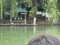 -天鹅湖体育公园