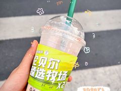 -茉酸奶(春熙路店)