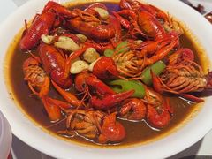 -杨氏青龙虾·羊蝎子(托乐嘉店)