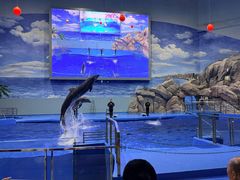 -福州罗源湾海洋世界旅游区