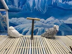 -成都浩海立方海洋公园