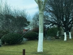 -云龙湖旅游景区