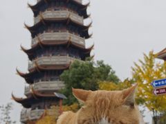 -章华寺