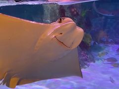 -沈阳海洋探索中心