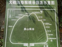 -大岭沟猕猴桃谷风景区