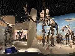 -国家自然博物馆