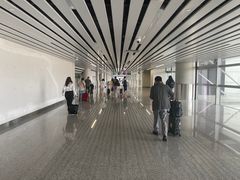 -广州白云国际机场-T2航站楼