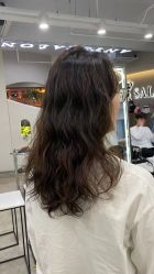 -蚂蚁造型沙龙