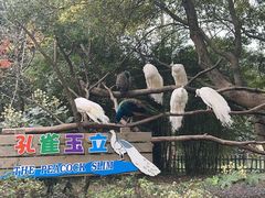 -宁波野生动物园