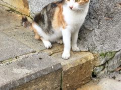 -许驸马府