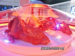 -侏罗纪世界电影特展(广州站)