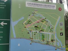 -合肥滨湖国家森林公园