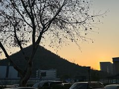 -杭州口腔医院(城西院区)