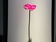 -桂语山房(满觉陇店)