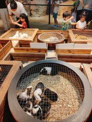 -酷嗒动物文化乐园(cutezoo西溪乐天城店)