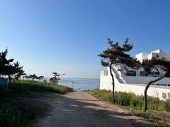 -养马岛旅游度假区