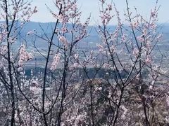 -北京凤凰岭