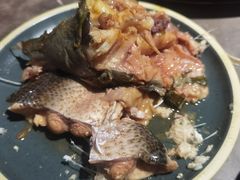 -肥鱼屯活鱼锅(惠工街店)