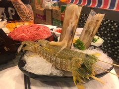 -鲜入围煮花胶鸡海鲜火锅