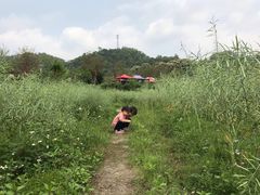 -红山村