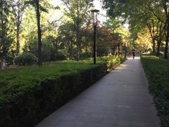 -唐城墙遗址公园