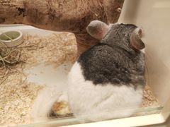 -龙猫仔乐园(惠福东路店)